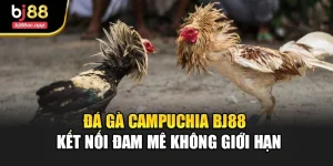 Đá Gà Campuchia Bj88 – Kết Nối Đam Mê Không Giới Hạn