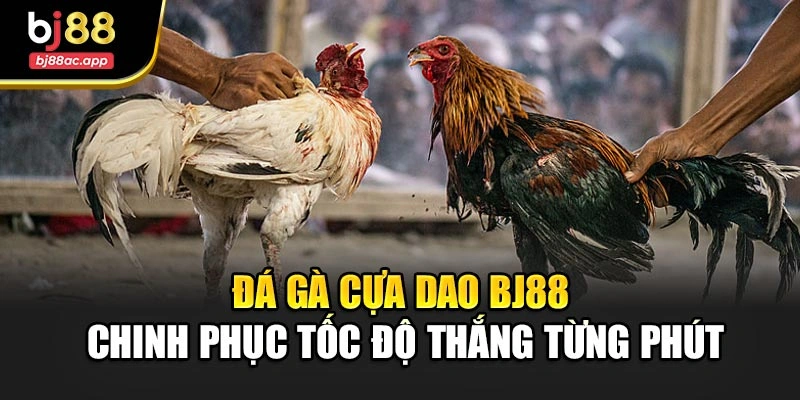 Đá Gà Cựa Dao Bj88 – Chinh Phục Tốc Độ Thắng Từng Phút